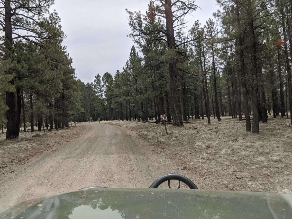 Lava River Cave Road photo 2