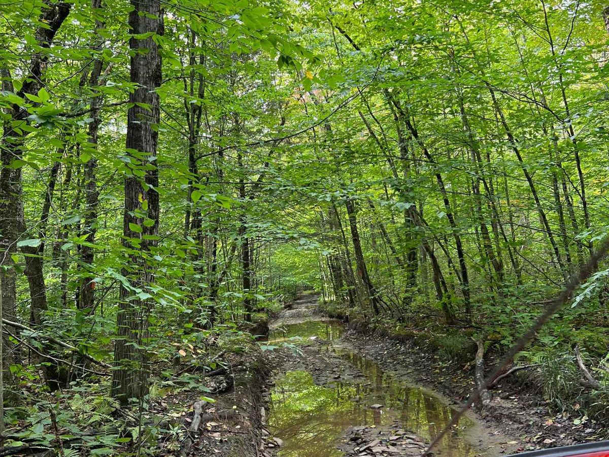 Minkler Mountain Road T668 photo 5