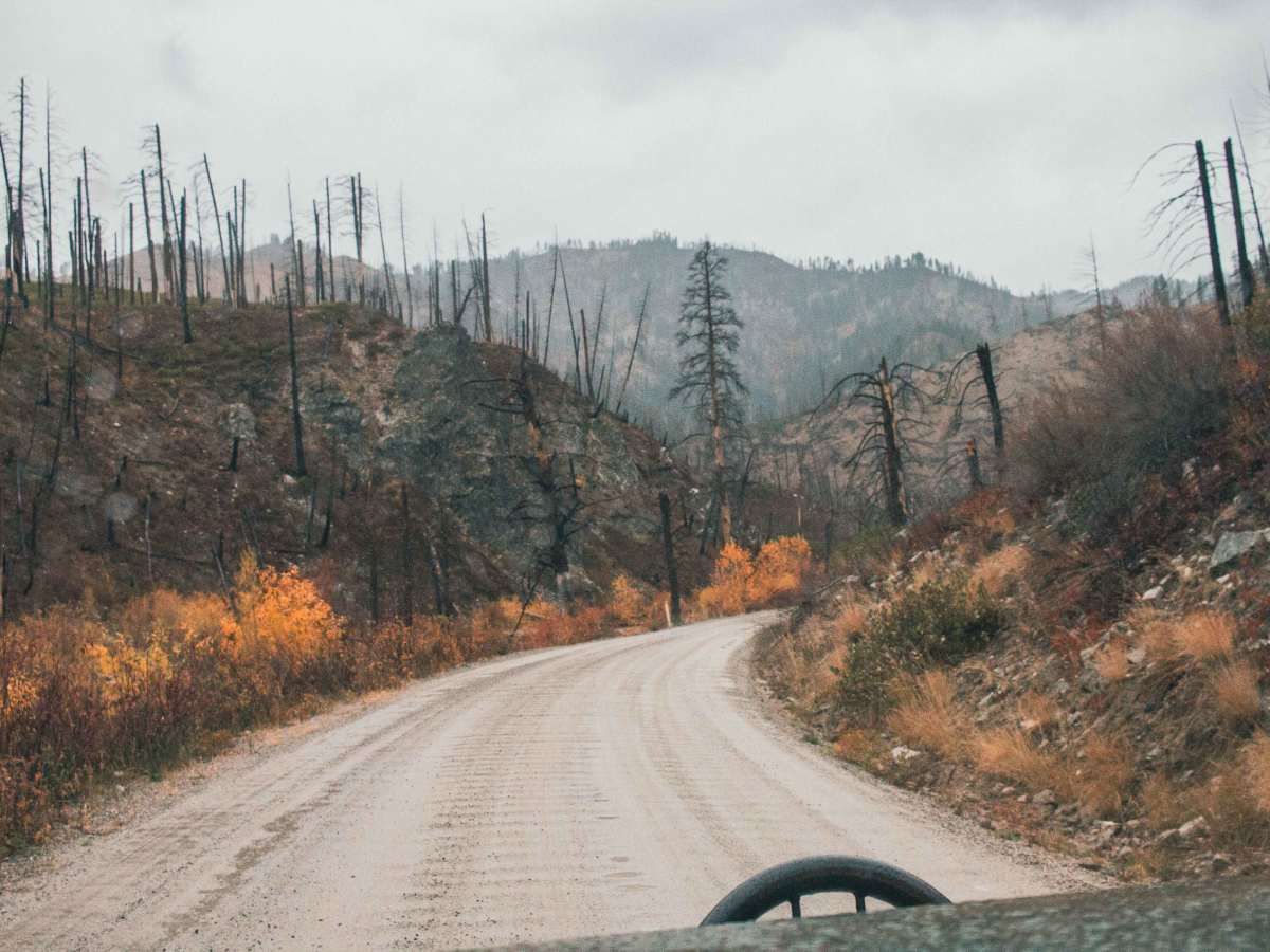 Middle Fork Road photo 6