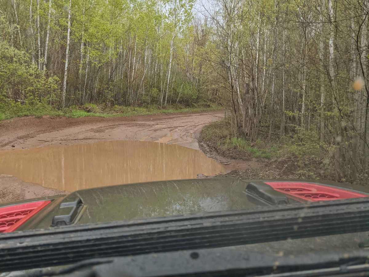 Park Forest, Potlatch, and Hilton Trails photo 3
