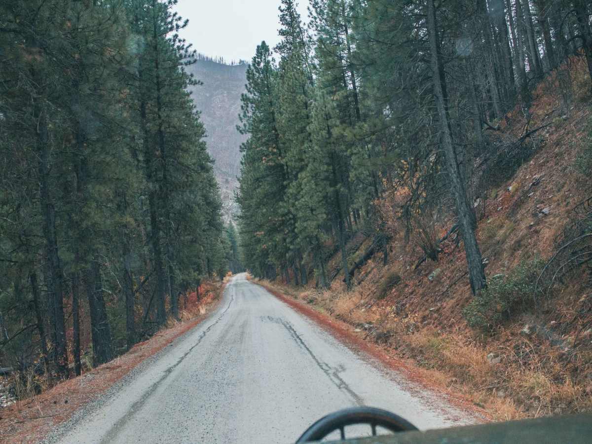 North Fork River Road photo 6
