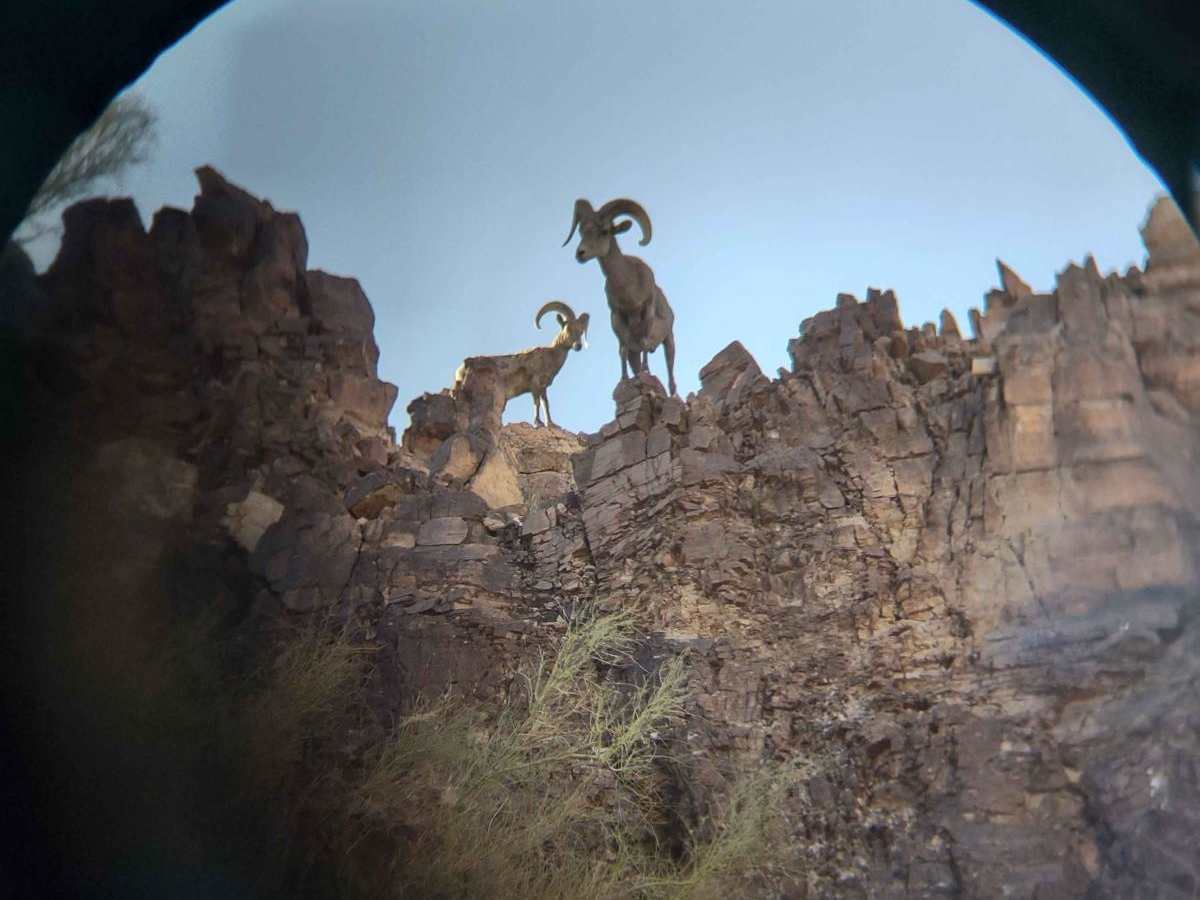Rockin' Ram Trail trail photo