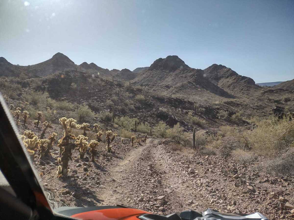 Rockin' Ram Trail photo 3